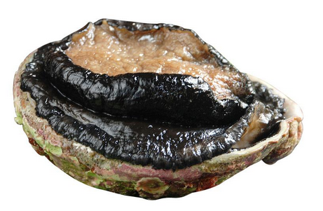 鮑魚罐頭怎么吃？這樣吃最好