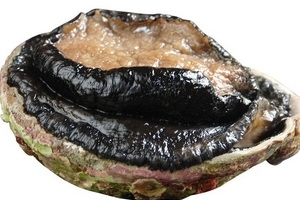 鮑魚罐頭怎么打開？像八寶粥一樣拉開