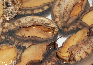 鮑魚罐頭怎么打開？像八寶粥一樣拉開