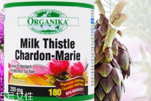 奶薊草護(hù)肝片不適人群 奶薊草護(hù)肝片不適人群