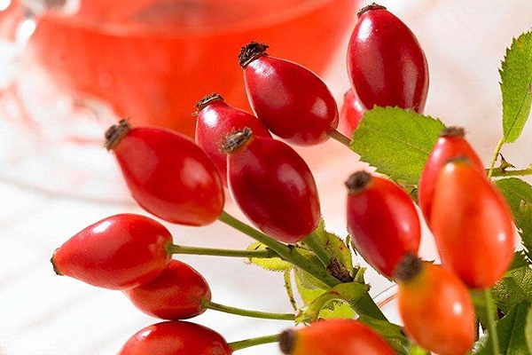 玫瑰果油有結(jié)晶是假貨嗎？純正玫瑰果油不會結(jié)晶