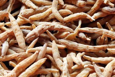 太子參可以泡酒嗎 泡酒方法 太子參可以泡酒嗎 泡酒方法