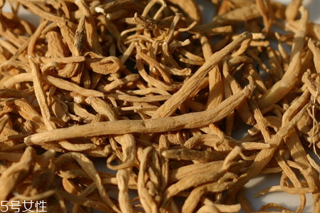 太子參什么季節(jié)吃 秋冬可以適當食用 太子參什么季節(jié)吃 秋冬可以適當食用