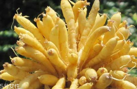 太子參什么季節(jié)吃 秋冬可以適當食用 太子參什么季節(jié)吃 秋冬可以適當食用