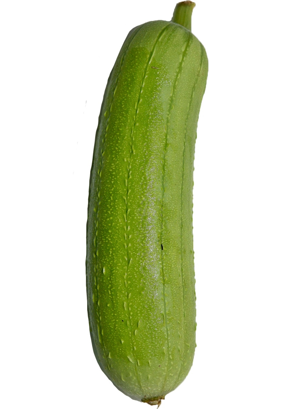 絲瓜怎么挑選 絲瓜的選購(gòu)技巧