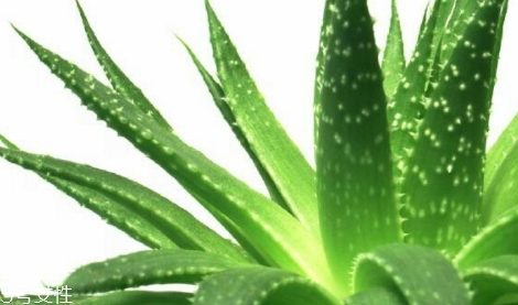 馥佩面膜怎么樣？性價(jià)比超高的國(guó)貨面膜