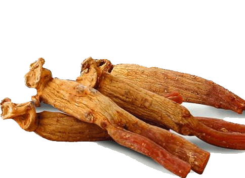 紅參為什么加糖 讓紅參增重 紅參為什么加糖 讓紅參增重