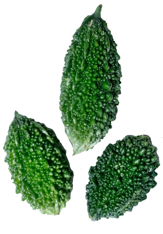 苦瓜品種大全圖片資料