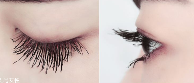 睫毛膏刷成蒼蠅腿圖片 如何避免刷成蒼蠅腿 睫毛膏刷成蒼蠅腿圖片 如何避免刷成蒼蠅腿