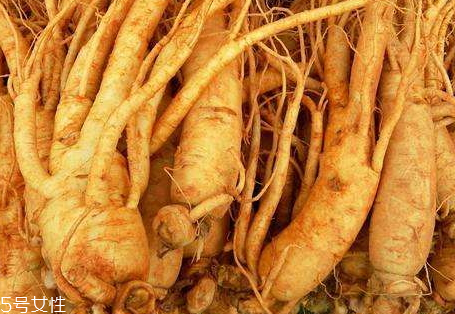 紅參和黃芪能一起吃嗎 可以增強(qiáng)補(bǔ)氣效果 紅參和黃芪能一起吃嗎 可以增強(qiáng)補(bǔ)氣效果