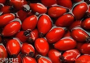 痘痘能用玫瑰果油嗎？愈合之后少量用