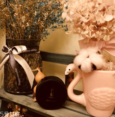 unes優(yōu)理氏好用嗎？