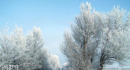 cmon遮陽傘怎么樣 日本的遮陽傘品牌 cmon遮陽傘怎么樣 日本的遮陽傘品牌