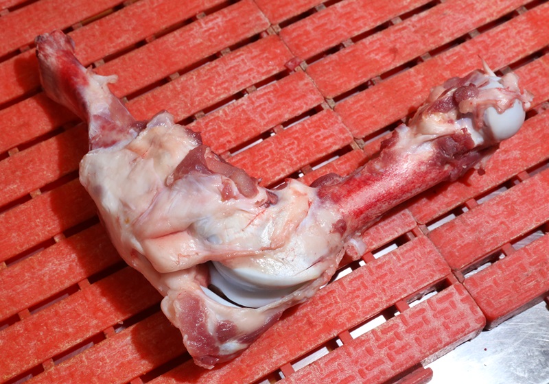 豬各部位肉的名稱圖片全解 豬各部位肉的名稱圖片全解