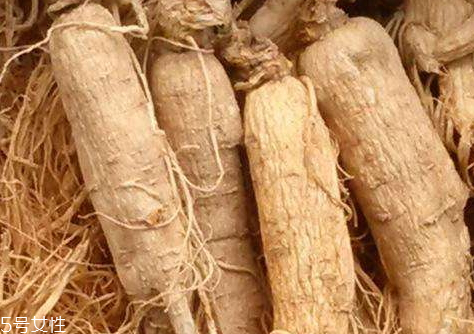 白參不能和什么一起吃 相克食物 白參不能和什么一起吃 相克食物