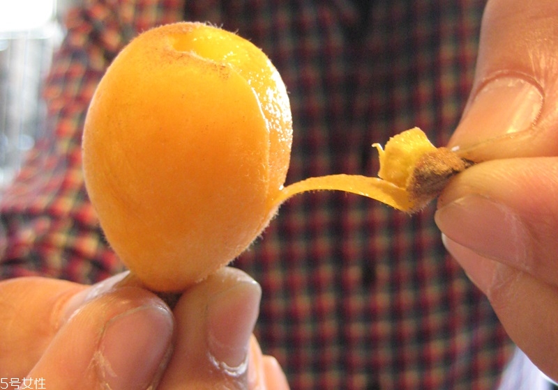 枇杷怎么剝皮 枇杷剝皮技巧 枇杷怎么剝皮 枇杷剝皮技巧