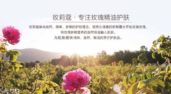 玫莉蔻護(hù)膚品怎么樣？主打玫瑰的護(hù)膚品牌