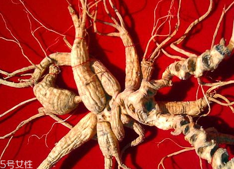 野山參怎么保存 保存技巧 野山參怎么保存 保存技巧