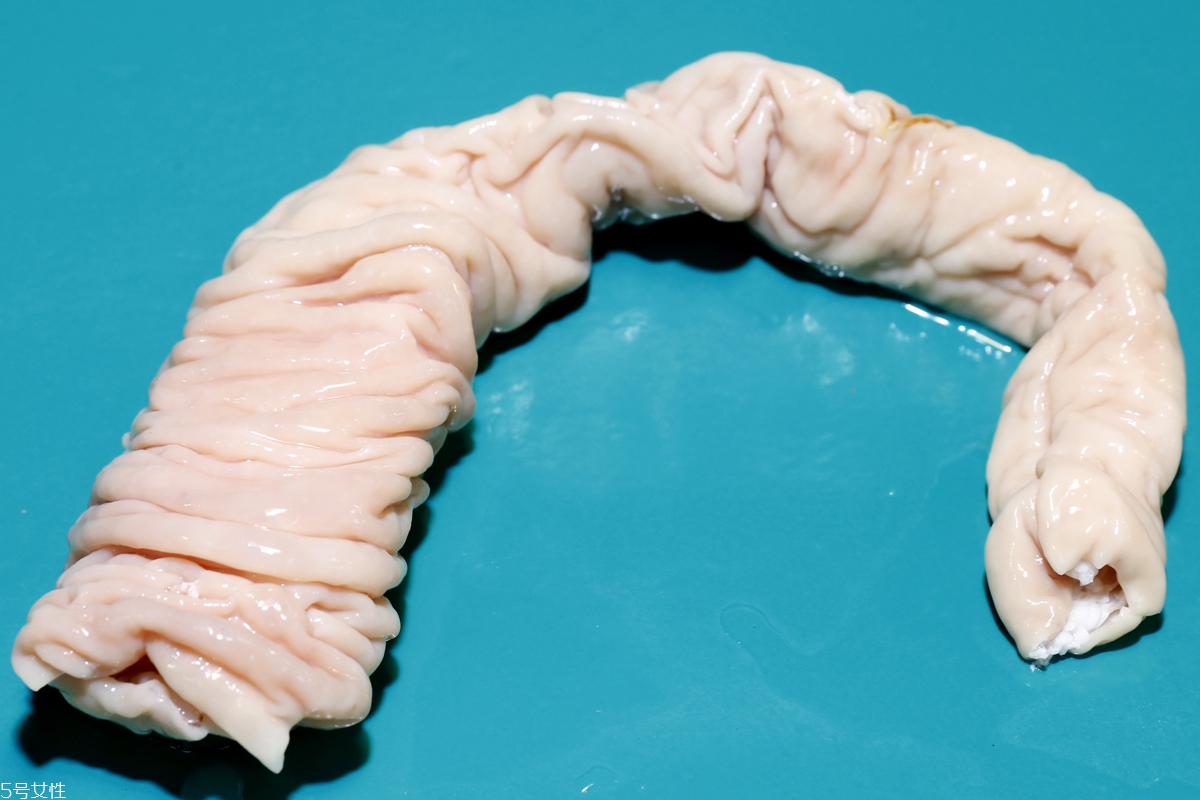 豬內臟怎么清洗 常見豬內臟選購與處理