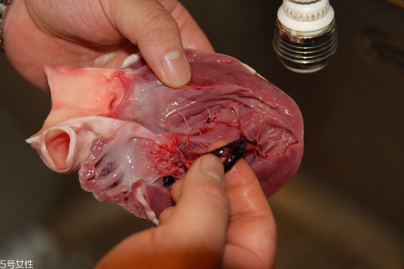 豬內臟怎么清洗 常見豬內臟選購與處理