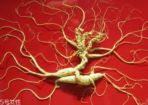 野山參不能和什么同吃 相克食物 野山參不能和什么同吃 相克食物