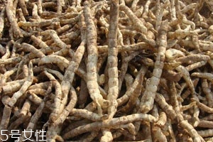 草參多少錢一斤 價(jià)格不貴