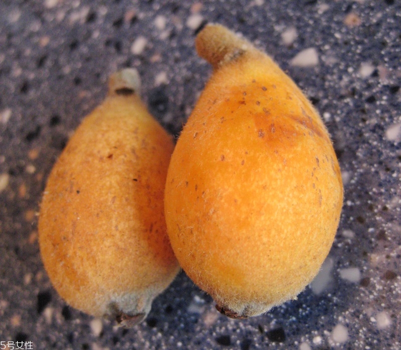 枇杷怎么挑選好吃 枇杷怎么挑選好吃