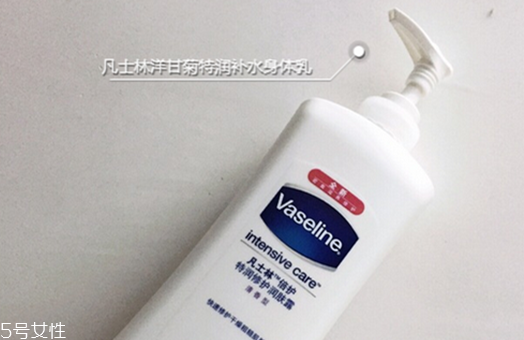 凡士林身體乳每款特點介紹 不同顏色的區(qū)別 凡士林身體乳每款特點介紹 不同顏色的區(qū)別