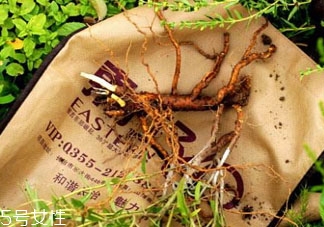 丹參什么時候挖 采收方法 丹參什么時候挖 采收方法