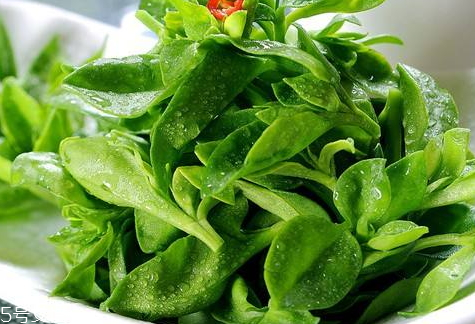 田七是熱性還是涼性 味甘微苦性溫 田七是熱性還是涼性 味甘微苦性溫