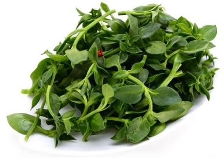 田七是熱性還是涼性 味甘微苦性溫 田七是熱性還是涼性 味甘微苦性溫