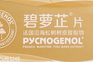 碧蘿芷到底好不好？帶你了解碧蘿芷