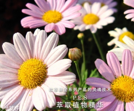 歐萃碧護膚品怎么樣？法國藥妝品牌