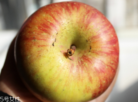 丑蘋果是和普通蘋果的區(qū)別 丑蘋果是和普通蘋果的區(qū)別