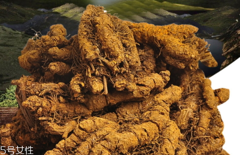 黃連可以治療濕疹嗎 黃連治療濕疹配方 黃連可以治療濕疹嗎 黃連治療濕疹配方