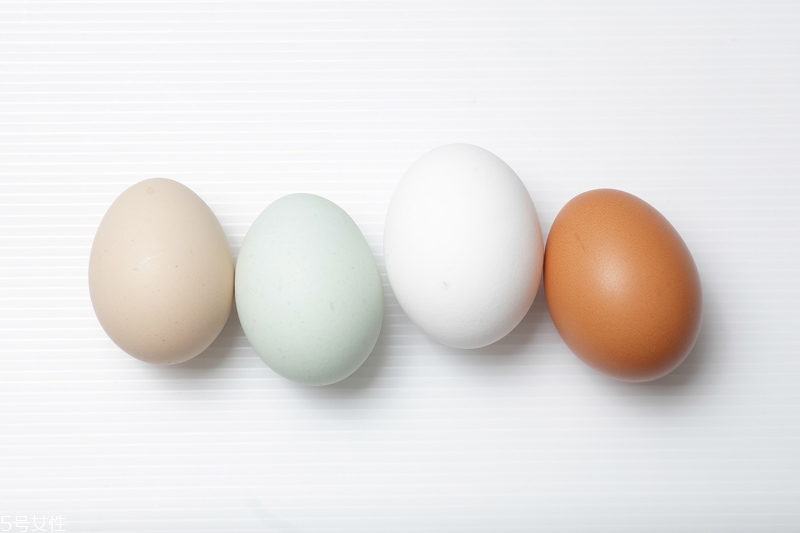 雞蛋的結構及其功能 雞蛋的組成結構