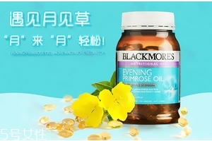 月見草油是激素嗎？不含激素成分