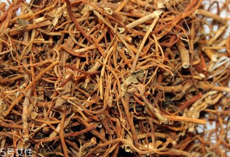 龍膽草可以泡水喝嗎 功效作用 龍膽草可以泡水喝嗎 功效作用