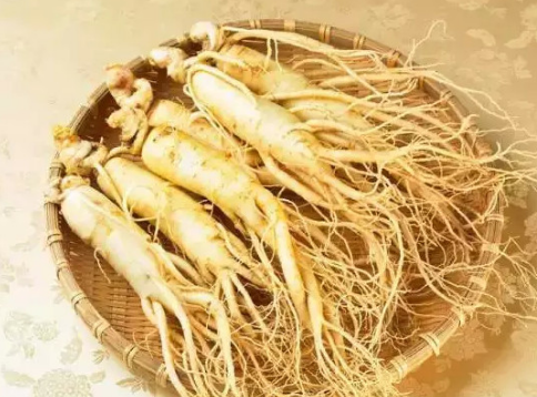 人參怎么保存時間久 參盒包裝保存更久 人參怎么保存時間久 參盒包裝保存更久