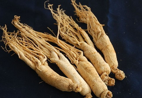 人參怎么保存時間久 參盒包裝保存更久 人參怎么保存時間久 參盒包裝保存更久