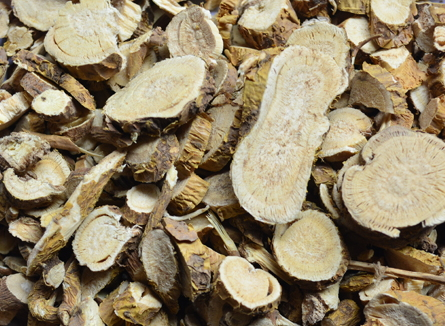 苦參可以泡水喝嗎 宜忌人群 苦參可以泡水喝嗎 宜忌人群