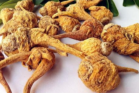 玄參可以長(zhǎng)期泡水喝嗎 久服會(huì)傷脾 玄參可以長(zhǎng)期泡水喝嗎 久服會(huì)傷脾