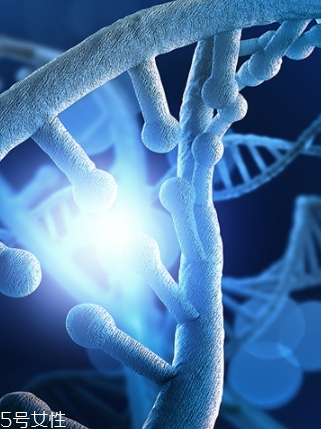 egf的功效和副作用 egf的功效和副作用