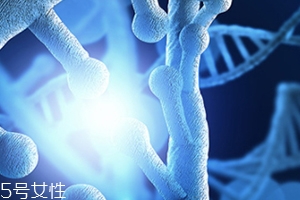 egf和玻尿酸的區(qū)別 egf和玻尿酸的區(qū)別