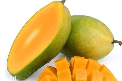 青芒可以放冰箱嗎 最多3到5天 青芒可以放冰箱嗎 最多3到5天