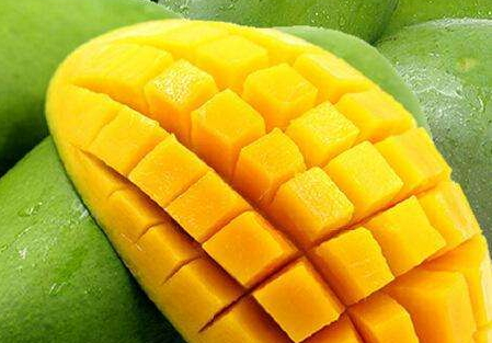 吃青芒會(huì)發(fā)胖嗎 青芒熱量不高 吃青芒會(huì)發(fā)胖嗎 青芒熱量不高