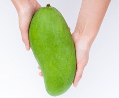 吃青芒會(huì)發(fā)胖嗎 青芒熱量不高 吃青芒會(huì)發(fā)胖嗎 青芒熱量不高