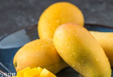 雞蛋芒上市時間 成熟時間 雞蛋芒上市時間 成熟時間