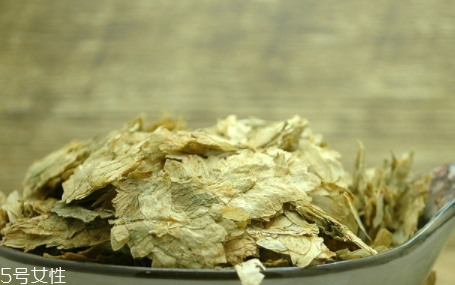 啤酒花是什么？啤酒花功效與作用