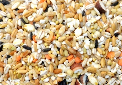 吃什么菜可以排毒 排毒最快最好的菜推薦